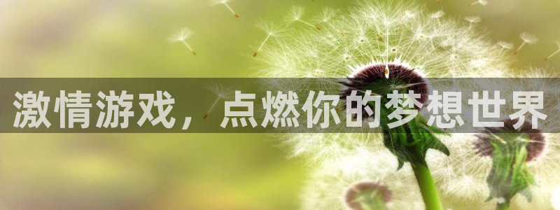 杏悦2平台报名时间