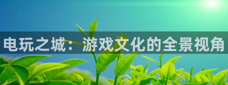 杏悦2测试：电玩之城：游戏文化的全景视角