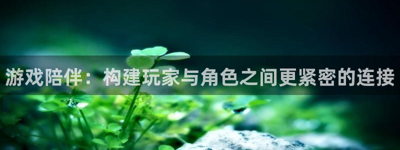 杏悦2会员注册网站：游戏陪伴：构建玩家与角色之间更紧密的连接