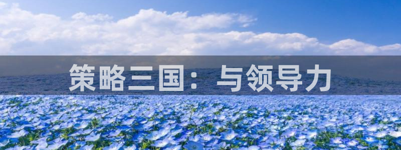 杏悦2游戏官网：策略三国：与领导力