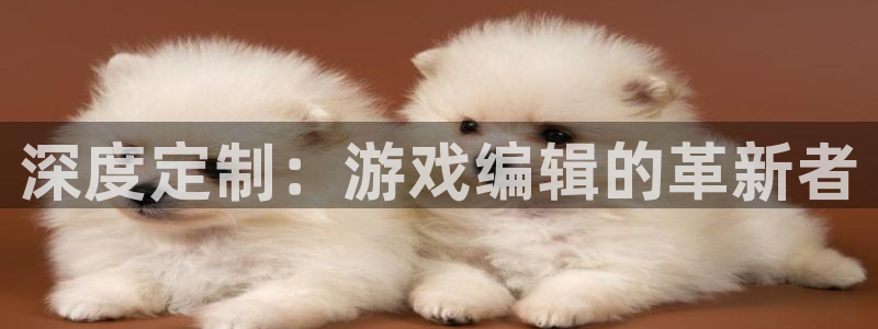 杏悦2平台注册入口：深度定制：游戏编辑的革新者