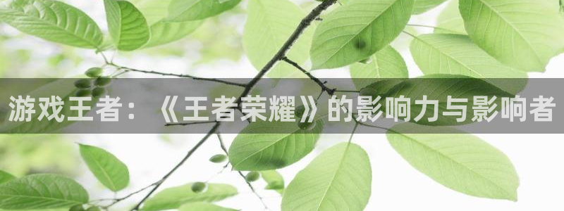 杏悦2定了平台：游戏王者：《王者荣耀》的影响力与影响者