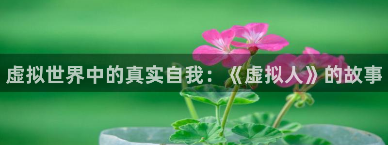 杏悦2会员兑换码：虚拟世界中的真实自我：《虚拟人》的故事