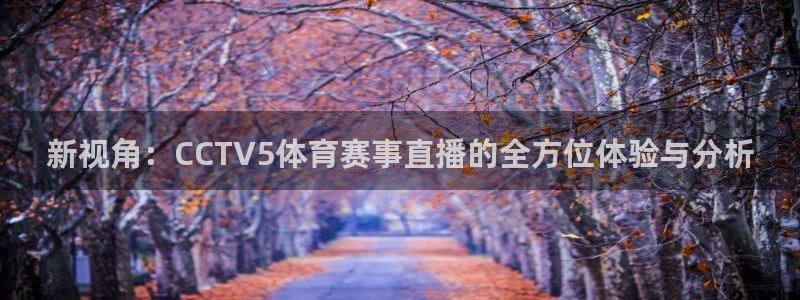 咪咕视频app：新视角：CCTV5体育赛事直播的全方位体验与分析