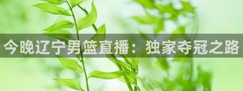 咪咕视频体育直播在线观看：今晚辽宁男篮直播：独家夺冠之路