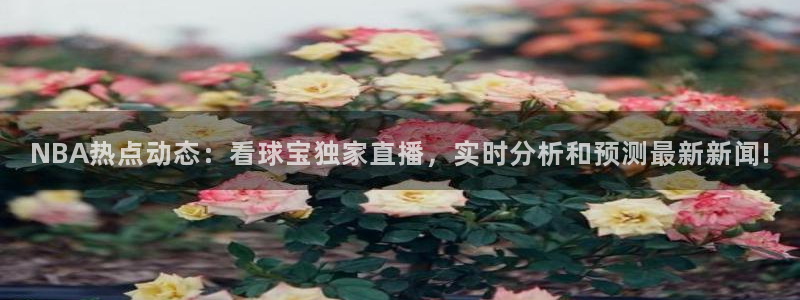 咪咕体育直播在线观看：NBA热点动态：看球宝独家直播，实时分析和预测最新新闻!