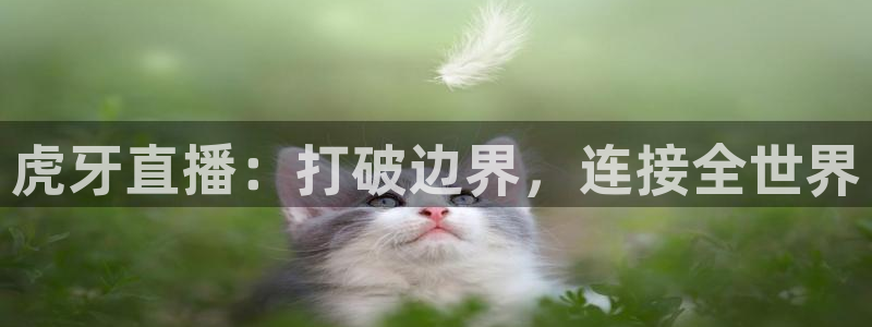 咪咕体育直播 免费：虎牙直播：打破边界，连接全世界