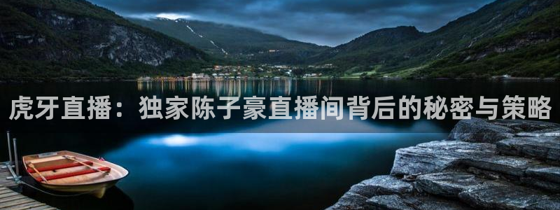 咪咕体育赛事直播：虎牙直播：独家陈子豪直播间背后的秘密与策略